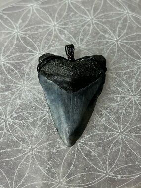 Black Mageladon Tooth Pendant